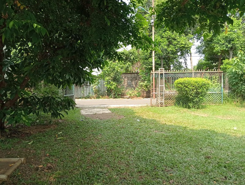 Rumah Kebun, 500m ke Jalan Raya Bogor, Cocok Untuk Usaha Rumahan, Strategis, NEGO