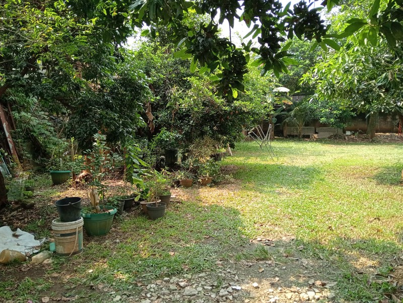 Rumah Kebun, 500m ke Jalan Raya Bogor, Cocok Untuk Usaha Rumahan, Strategis, NEGO