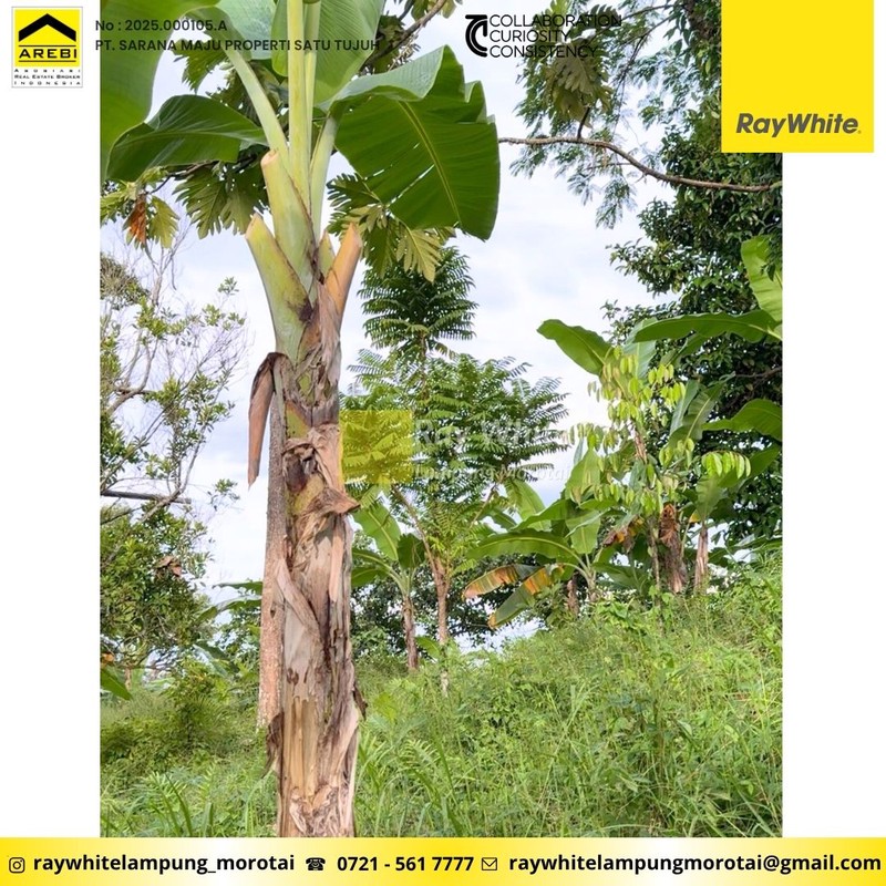 Dijual Tanah Strategis Siap Bangun 