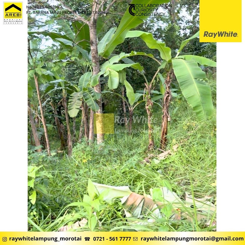 Dijual Tanah Strategis Siap Bangun 