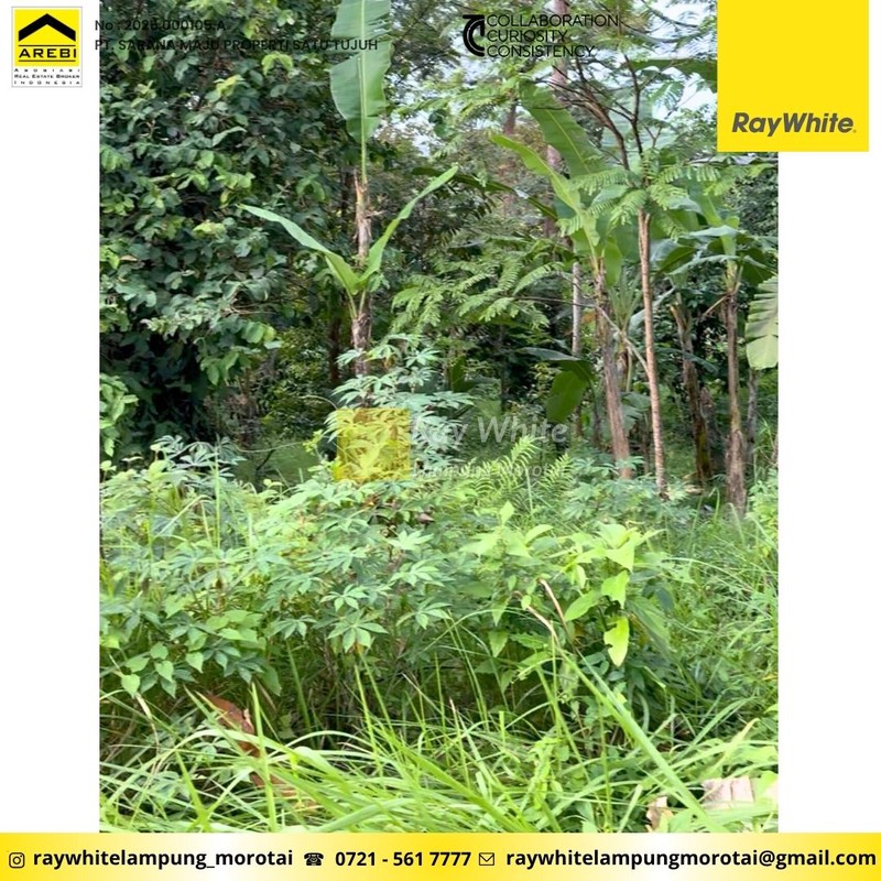 Dijual Tanah Strategis Siap Bangun 