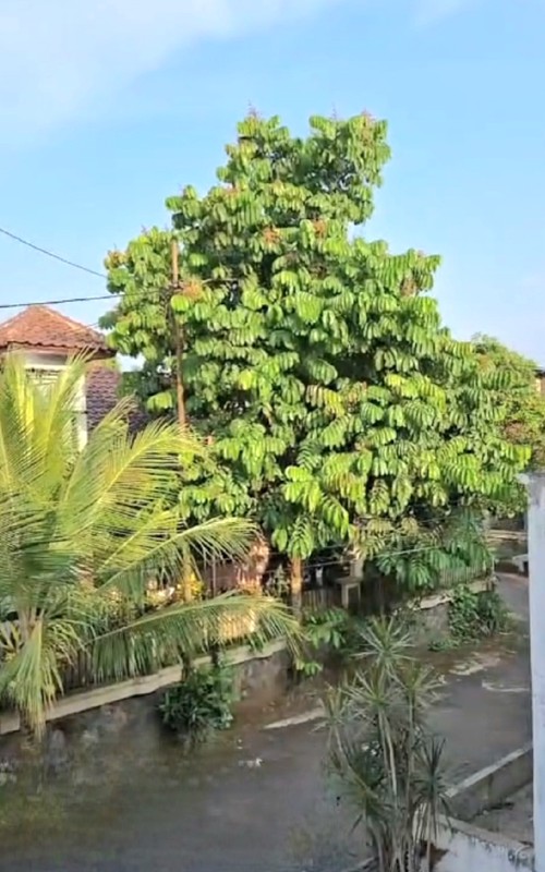 Rumah Salatiga Regency, Sidorejo, Salatiga