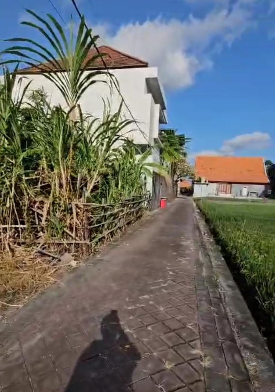 Freehold - Prime 300 sqm Residential Land with Rice Field View, Walking Distance to the Beach in Canggu, Bali