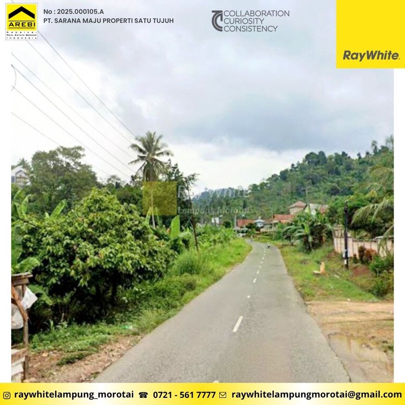 tanah 6475 m2 jalan way ratai mutun pesawaran