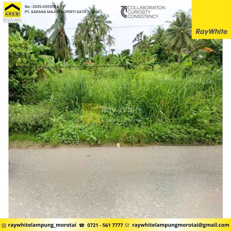 tanah 6475 m2 jalan way ratai mutun pesawaran