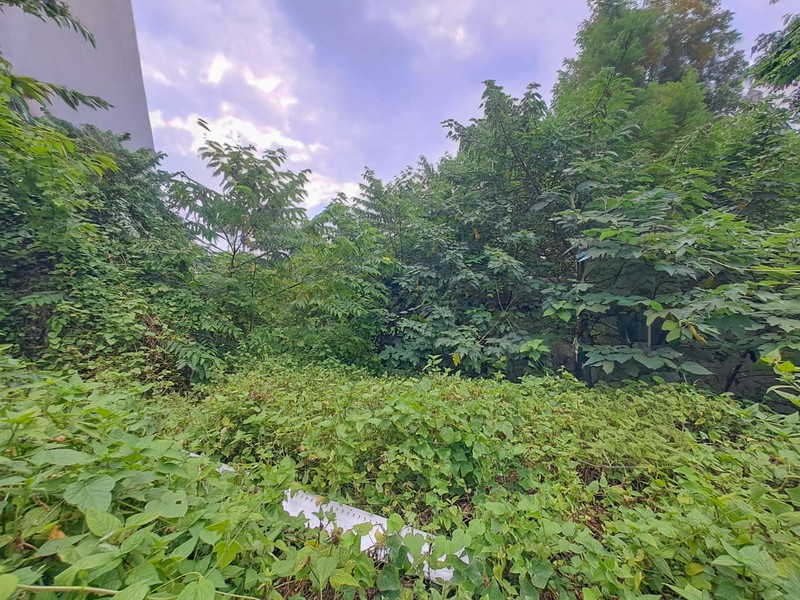 Tanah Tomang Grogol Petamburan, dekat Taman Anggrek Tanjung Duren