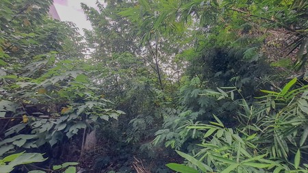 Tanah Tomang Grogol Petamburan, dekat Taman Anggrek Tanjung Duren