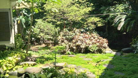 Rumah Dijual di Senayan Jakarta Selatan 