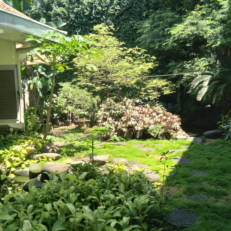 Rumah Dijual di Senayan Jakarta Selatan 