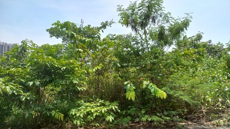 Tanah di Cluster Simpruk, Lippo Cikarang - Lokasi Premium dan Strategis Siap Bangun