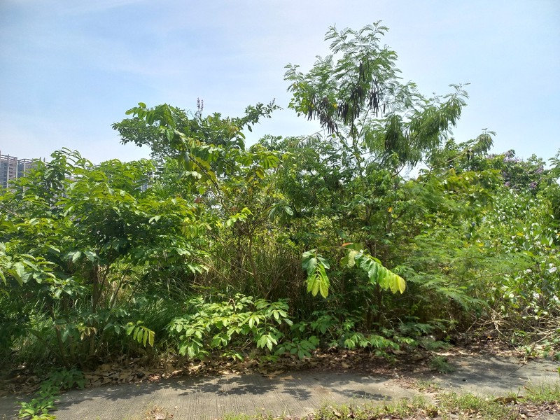 Tanah di Cluster Simpruk, Lippo Cikarang - Lokasi Premium dan Strategis Siap Bangun