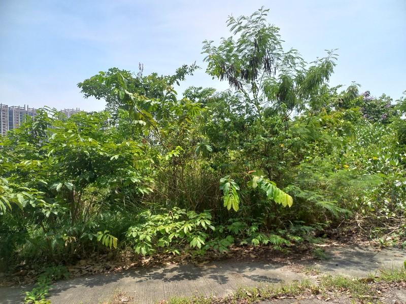 Tanah di Cluster Simpruk, Lippo Cikarang - Lokasi Premium dan Strategis Siap Bangun