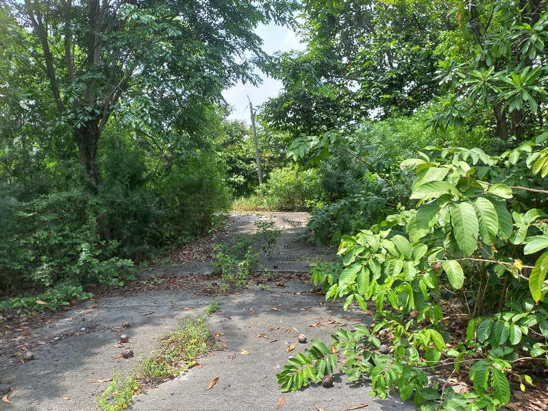 Tanah di Cluster Simpruk, Lippo Cikarang - Lokasi Premium dan Strategis Siap Bangun