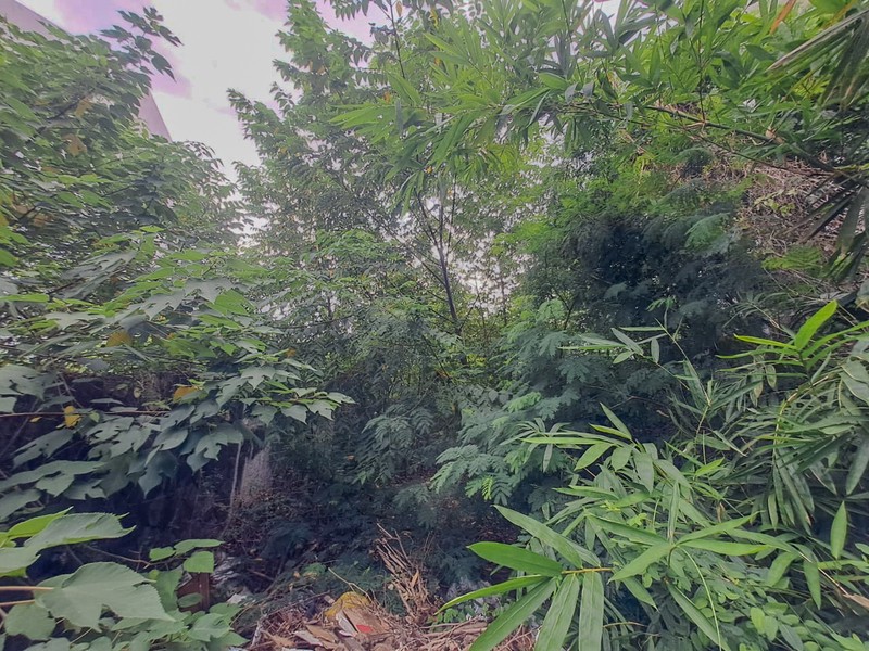 Tanah Tomang Grogol Petamburan, dekat Taman Anggrek Tanjung Duren