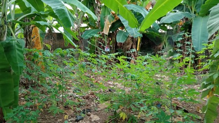 Kavling Siap Bangun dan Lokasi Strategis @Ciputat