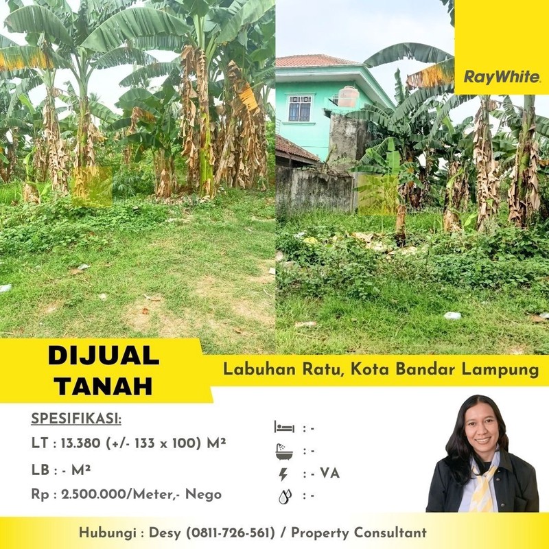 tanah murah labuhan ratu bandar lampung