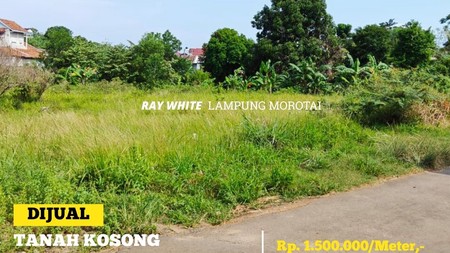 tanah murah labuhan ratu bandar lampung