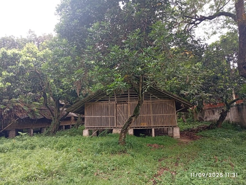 Kav.untuk gudang / pabrik. diranca iyuh. panongan Tangerang