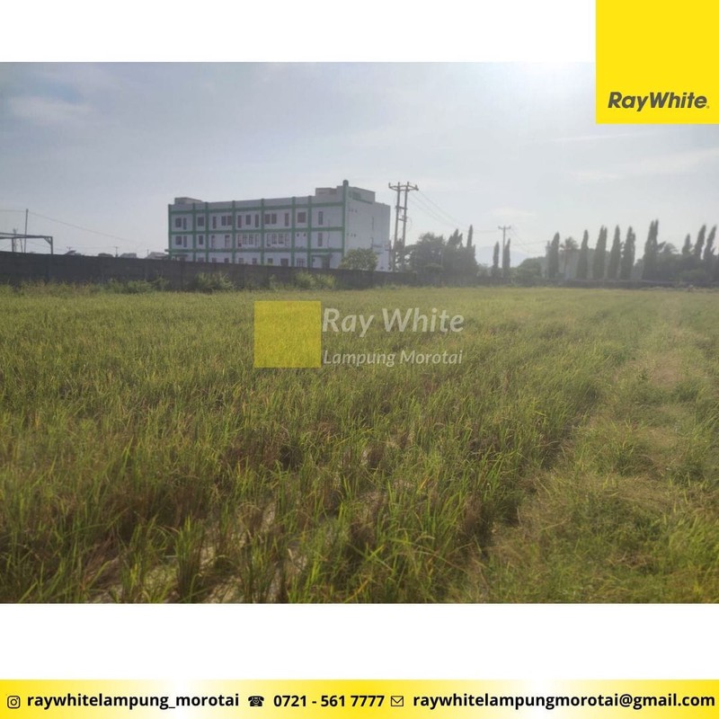 Dijual Tanah Luas 8000 di dekat Kampus UIN, Sukarame Bandar Lampung