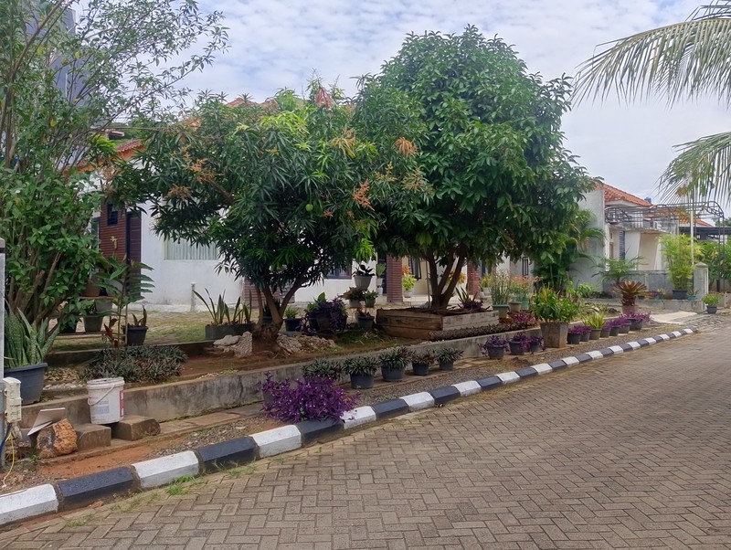  Rumah MURAH Luas 471 di Graha Madu Pesona, Tanjung Senang