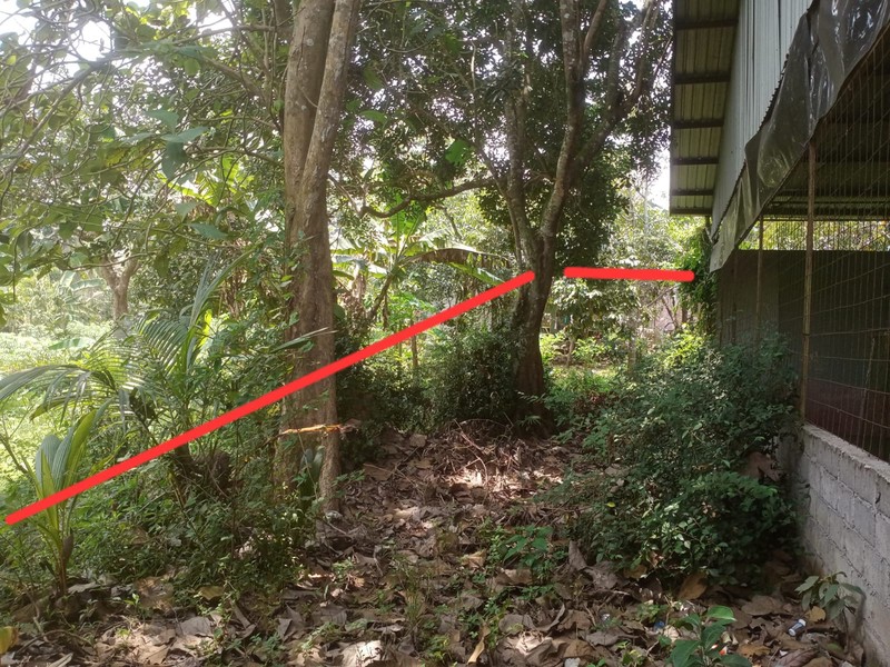 Tanah + Bangunan Eksklusif di Pinggir Jalan Utama Magelang - Sangat Ideal untuk Gudang/Pabrik