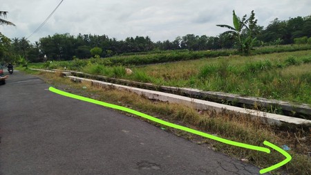 Tanah Sawah 2732 Meter Persegi di Kawasan Strategis Sleman 