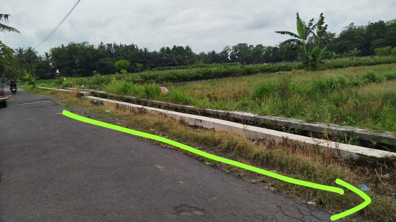 Tanah Sawah 2732 Meter Persegi di Kawasan Strategis Sleman 