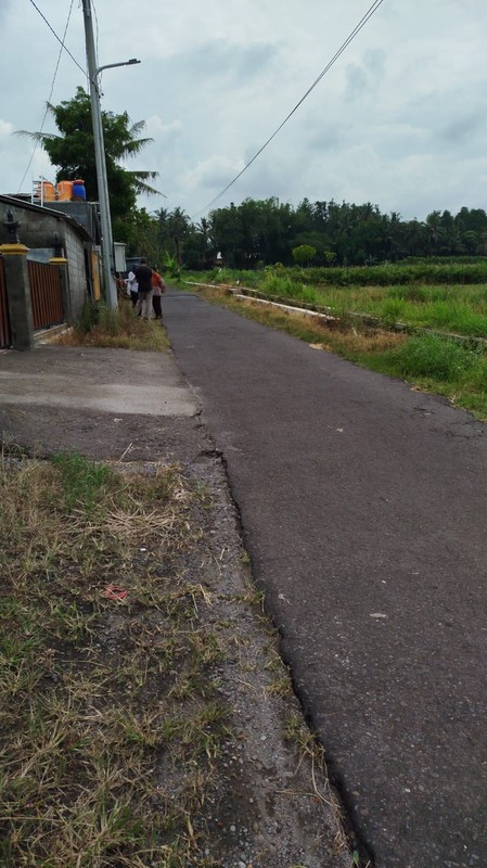Tanah Sawah 2732 Meter Persegi di Kawasan Strategis Sleman 