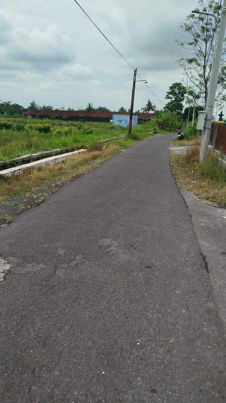 Tanah Sawah 2732 Meter Persegi di Kawasan Strategis Sleman 