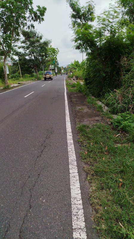 Dijual Tanah Sawah 4120 Meter Persegi Strategis di Pandowoharjo, Sleman 
