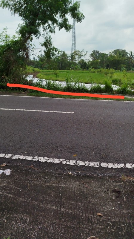 Dijual Tanah Sawah 4120 Meter Persegi Strategis di Pandowoharjo, Sleman 