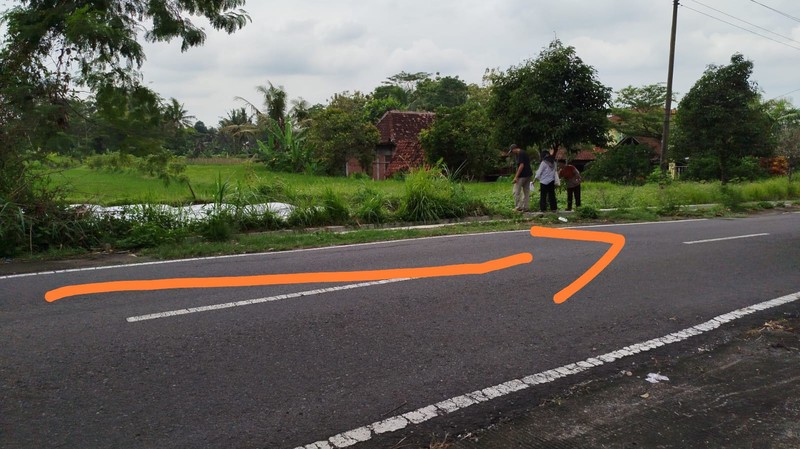 Dijual Tanah Sawah 4120 Meter Persegi Strategis di Pandowoharjo, Sleman 