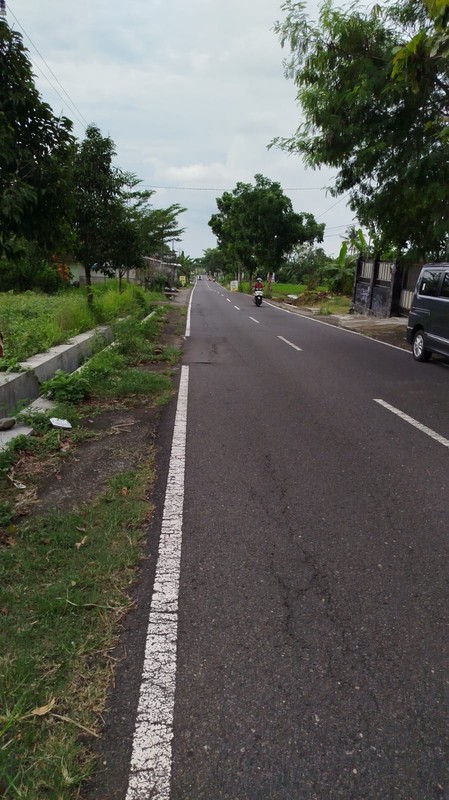 Dijual Tanah Sawah 4120 Meter Persegi Strategis di Pandowoharjo, Sleman 