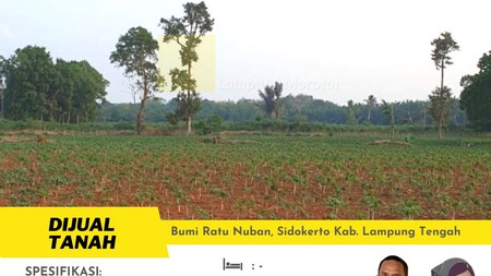 tanah murah bumi ratu nuban