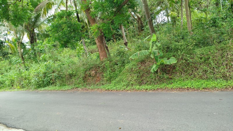 Tanah Luas Siap Bangun di Kulon Progo - View Terbaik, Akses Mobil, Cocok untuk Wisata/Resort