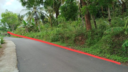 Tanah Luas Siap Bangun di Kulon Progo - View Terbaik, Akses Mobil, Cocok untuk Wisata/Resort