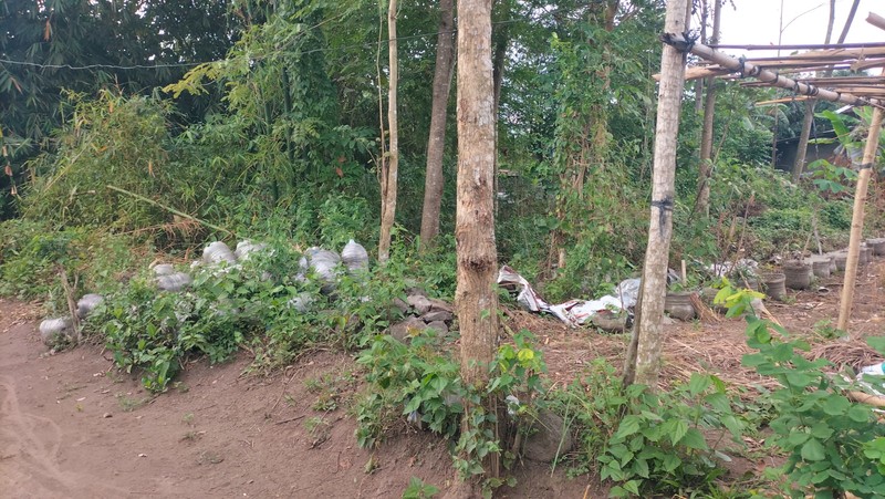 Tanah SHM 1.568 Meter Persegi di Candirejo Ngaglik Sleman - Cocok untuk Hunian & Investasi