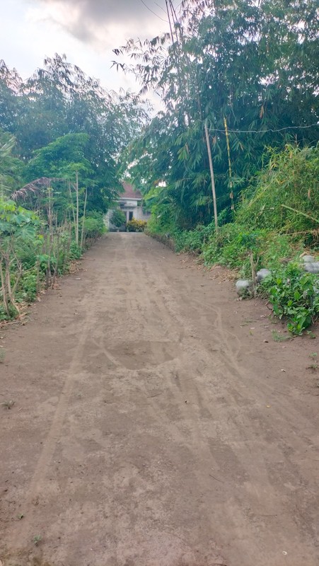 Tanah SHM 1.568 Meter Persegi di Candirejo Ngaglik Sleman - Cocok untuk Hunian & Investasi