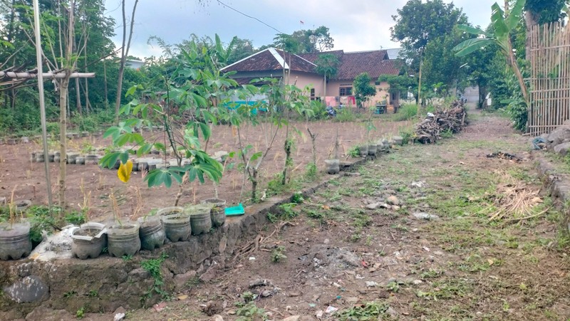 Tanah SHM 1.568 Meter Persegi di Candirejo Ngaglik Sleman - Cocok untuk Hunian & Investasi