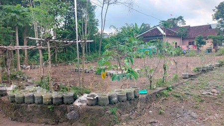 Tanah SHM 1.568 Meter Persegi di Candirejo Ngaglik Sleman - Cocok untuk Hunian & Investasi