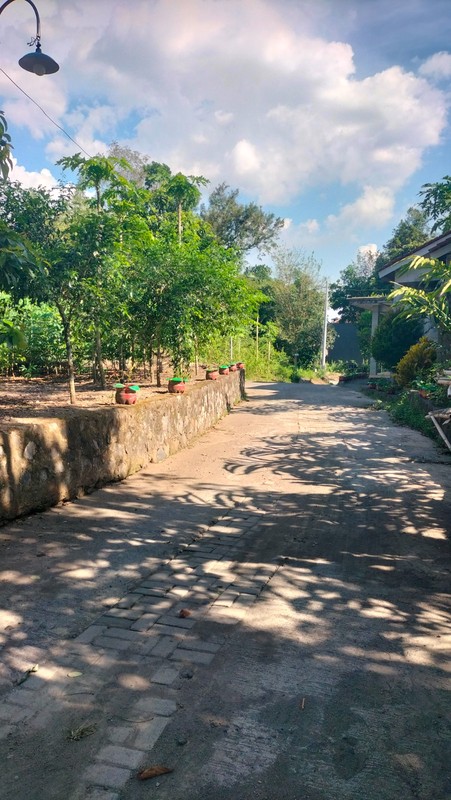 Tanah SHM 1.568 Meter Persegi di Candirejo Ngaglik Sleman - Cocok untuk Hunian & Investasi