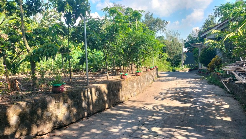 Tanah SHM 1.568 Meter Persegi di Candirejo Ngaglik Sleman - Cocok untuk Hunian & Investasi