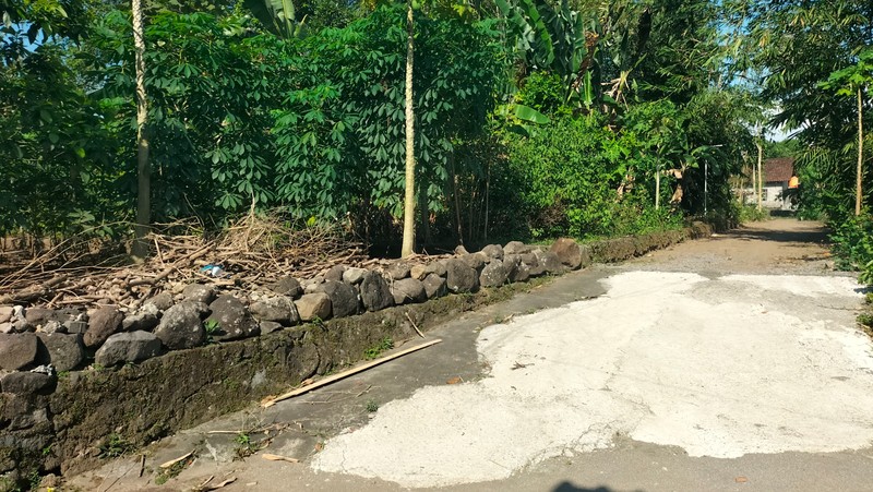 Tanah SHM 1.568 Meter Persegi di Candirejo Ngaglik Sleman - Cocok untuk Hunian & Investasi