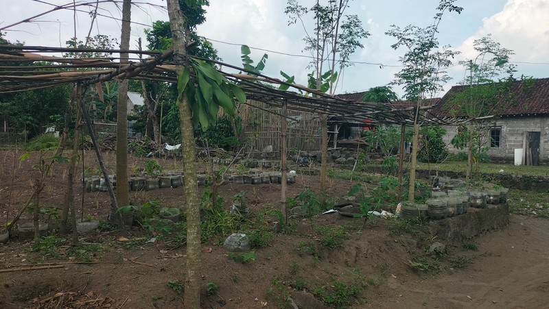 Tanah SHM 1.568 Meter Persegi di Candirejo Ngaglik Sleman - Cocok untuk Hunian & Investasi