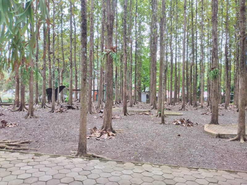 Investasi Besar, Taman & Objek Wisata Di Pinggir Jalan Raya Krakal Kebumen - Potensi Komersial Tinggi