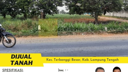 tanah murah terbanggi besar