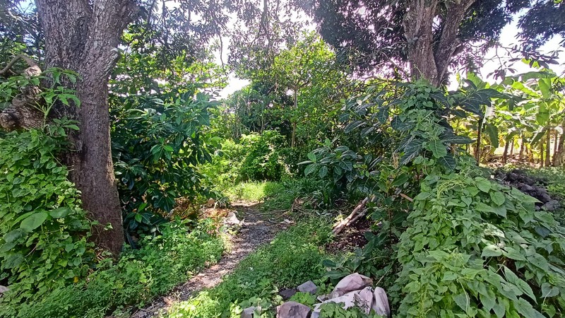 Leasehold - Prime 1300 sqm Leasehold Land in Umalas, Bali