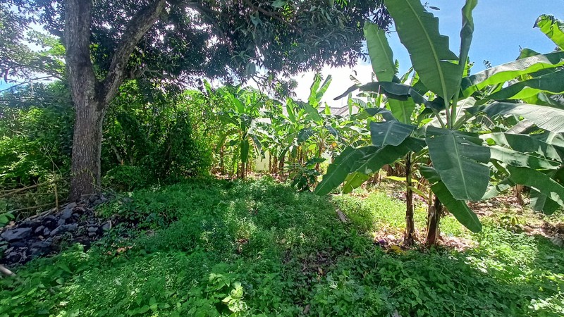 Leasehold - Prime 1300 sqm Leasehold Land in Umalas, Bali