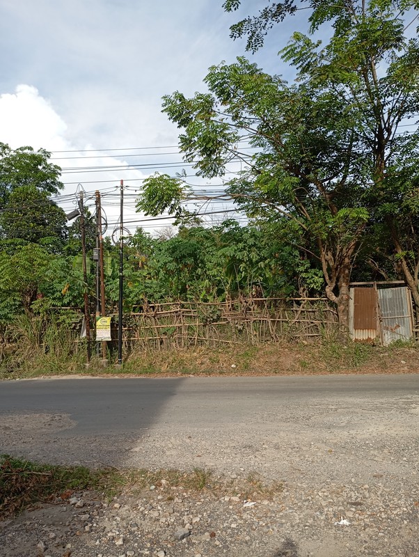 tanah 3050 m2 tirtayasa sukabumi bandar lampung