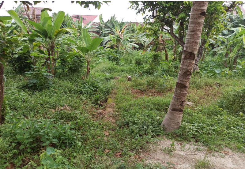 dijual tanah 4500 m2 unila rajabasa bandar lampung